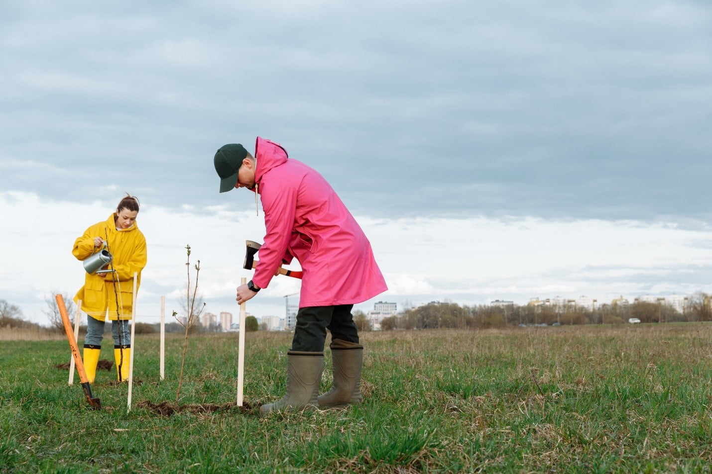 Man and woman tree planting trees