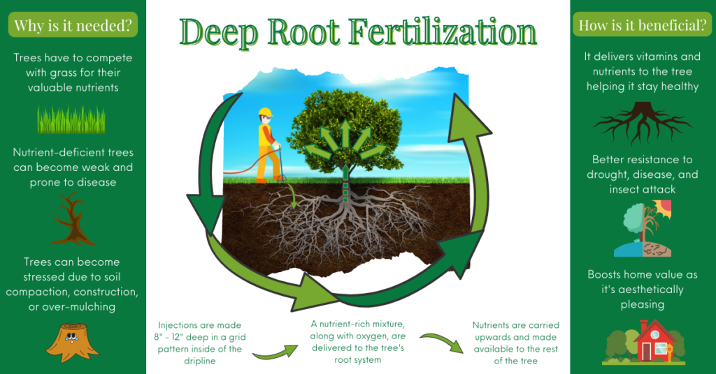 Deep Root Fertilization