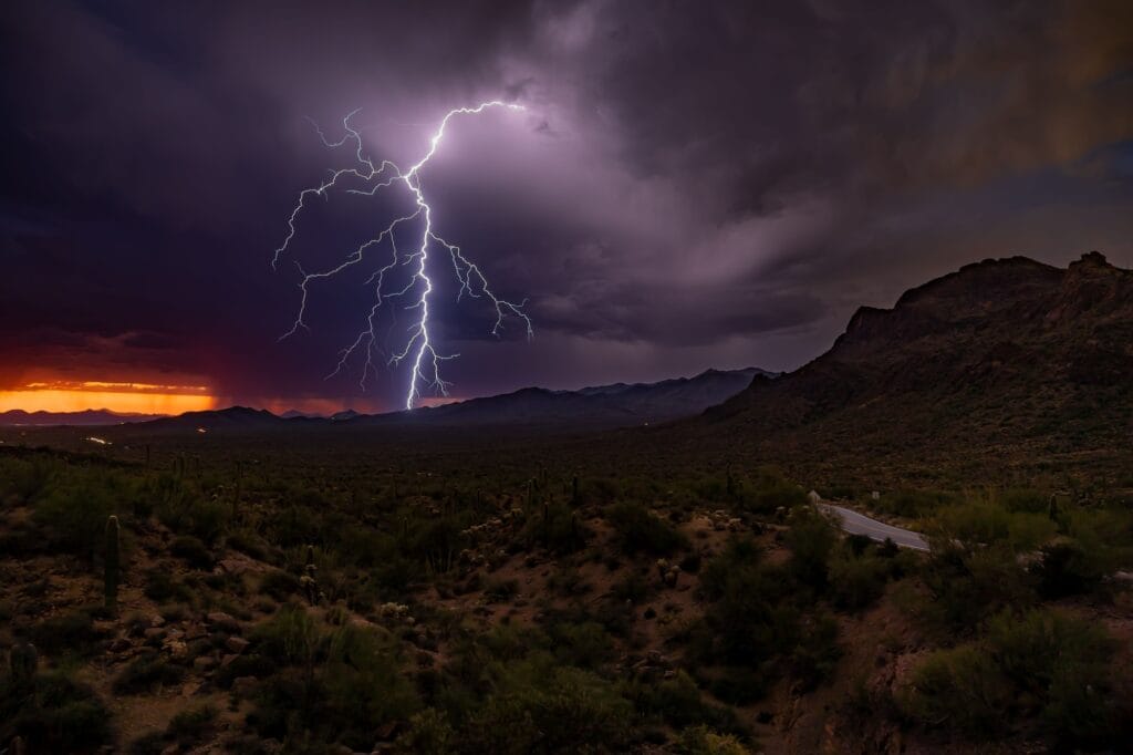 Saguaro National Park during monsoon season